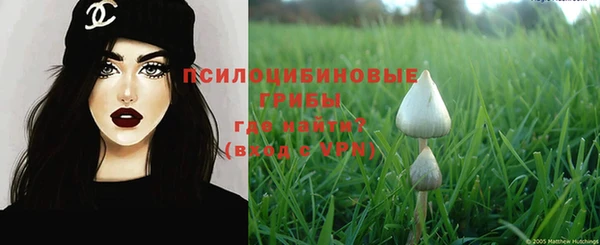 стафф Зерноград