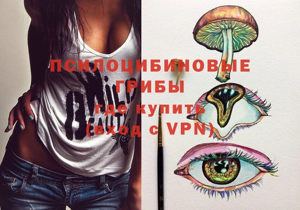 СК Зеленокумск