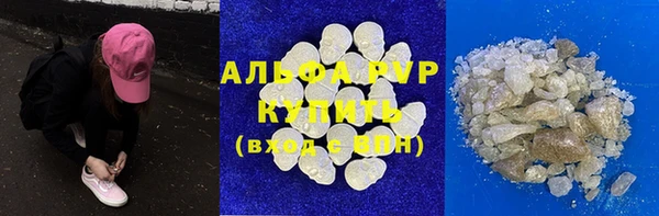 стафф Зерноград