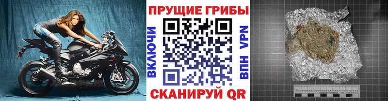 Псилоцибиновые грибы прущие грибы Вихоревка